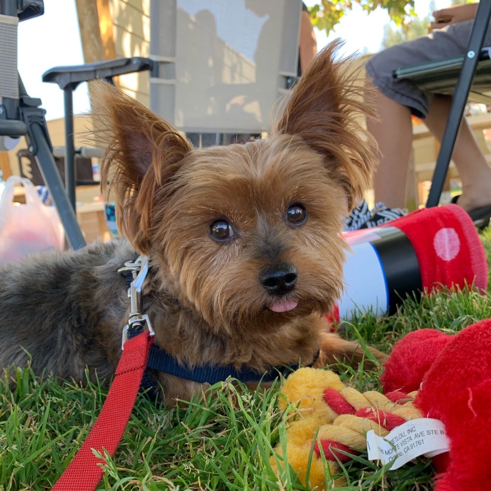 Meet your Posher, Ariana